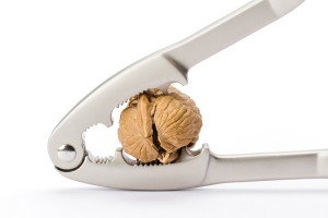 walnut and nutcracker on white background